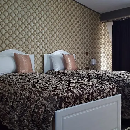 Guest house Sophia Comanesti (Bacau)