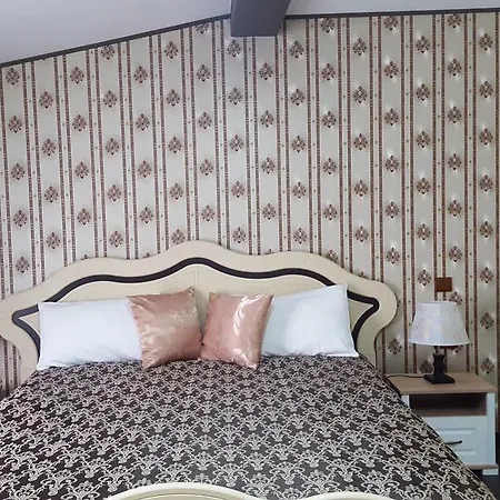 Guest house Sophia Comanesti (Bacau)