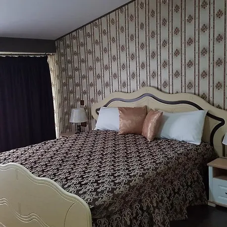 Guest house Sophia Comanesti (Bacau)