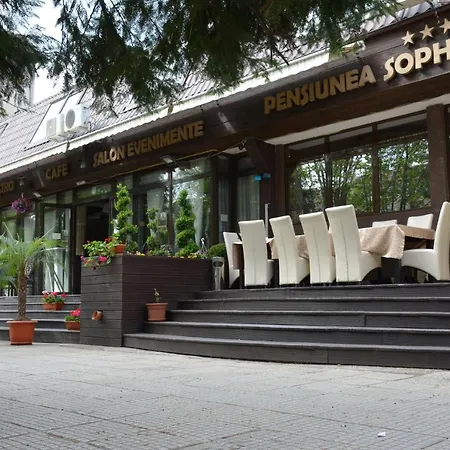 Sophia Comanesti (Bacau)